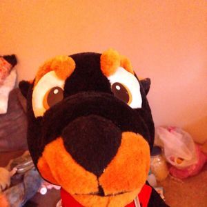 Meet your Posher, Inez